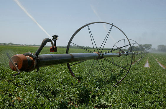 study-and-design-of-the-main-network-of-pressurized-irrigation-systems----