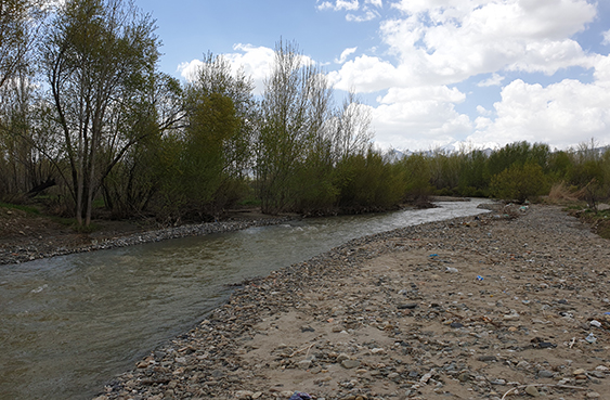 riverbed---buffer-zone-determination---feasibility-studies-of-river-training